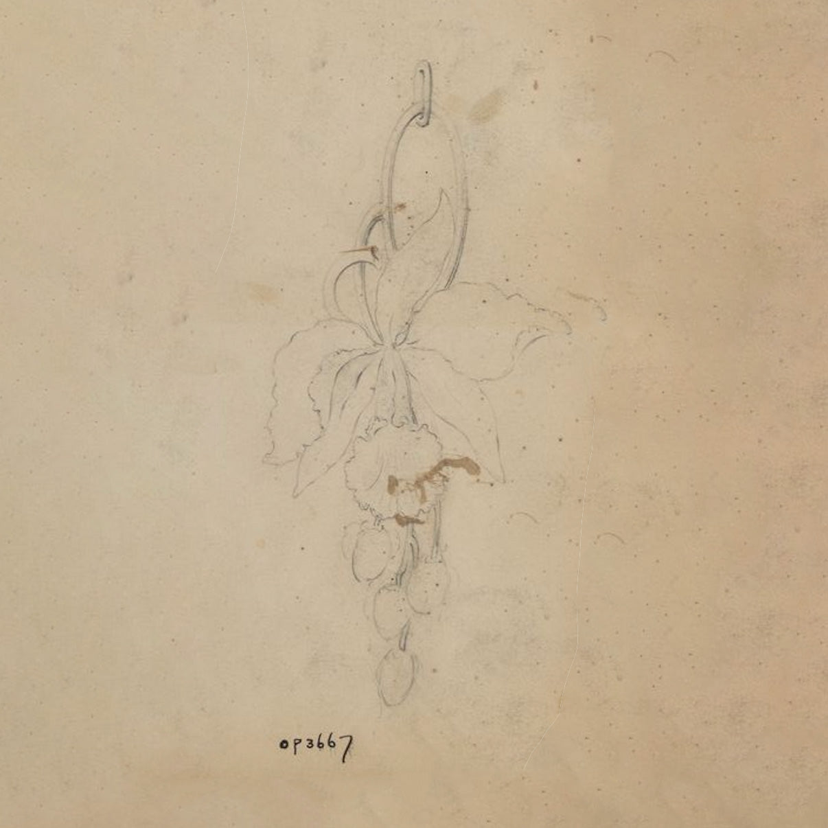 Macklowe Gallery Marcus & Co. Art Nouveau Enamel Orchid Pendant