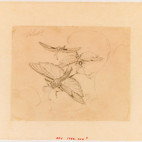 Macklowe Gallery Émile Gallé Marquetry