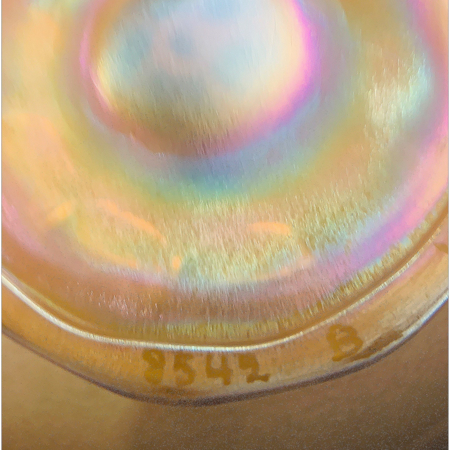 Macklowe Gallery Tiffany Studios New York Flower Form Favrile Glass Vase