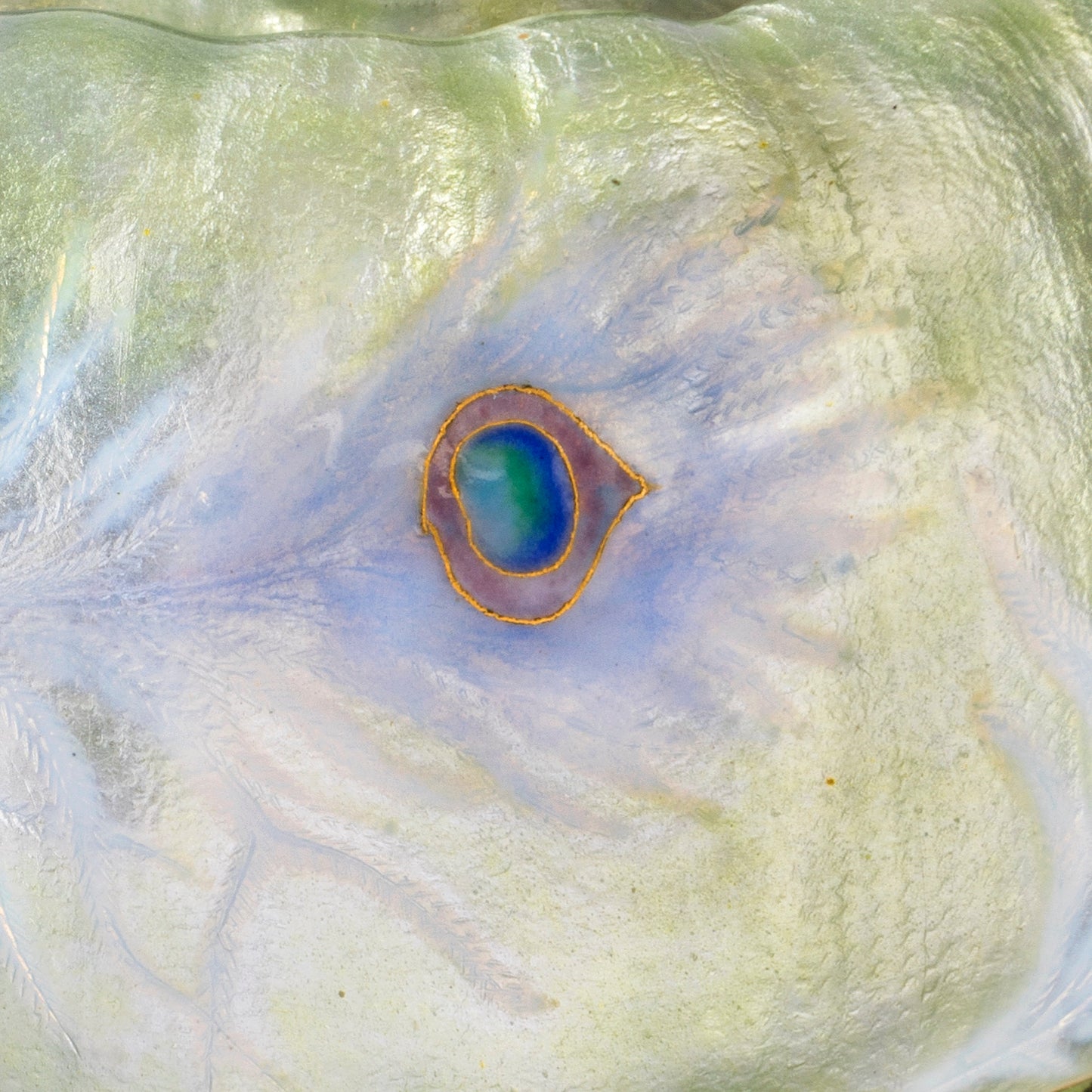 Macklowe Gallery Eugène Feuillâtre