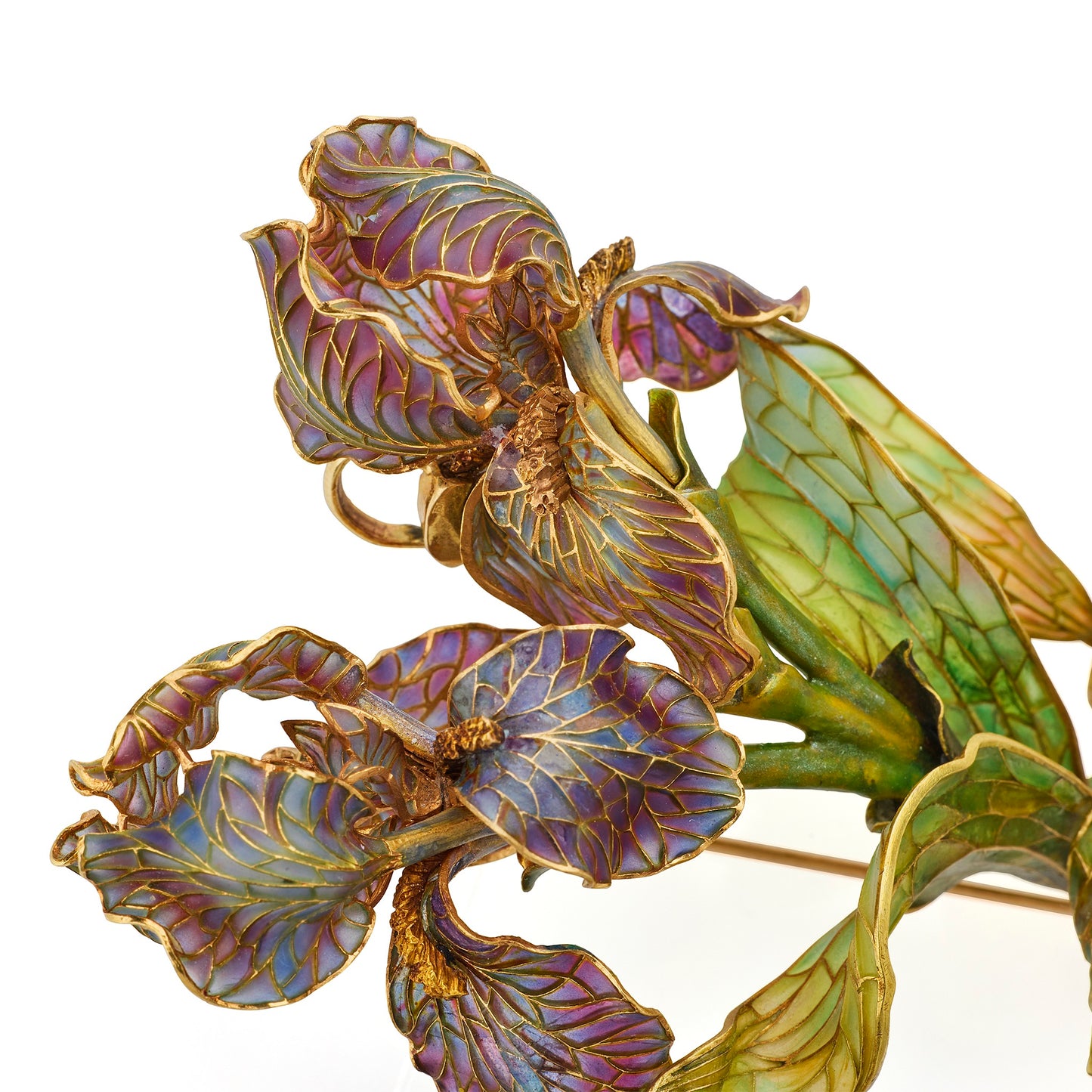 Macklowe Gallery Marcus & Co. Art Nouveau Enamel Iris Brooch
