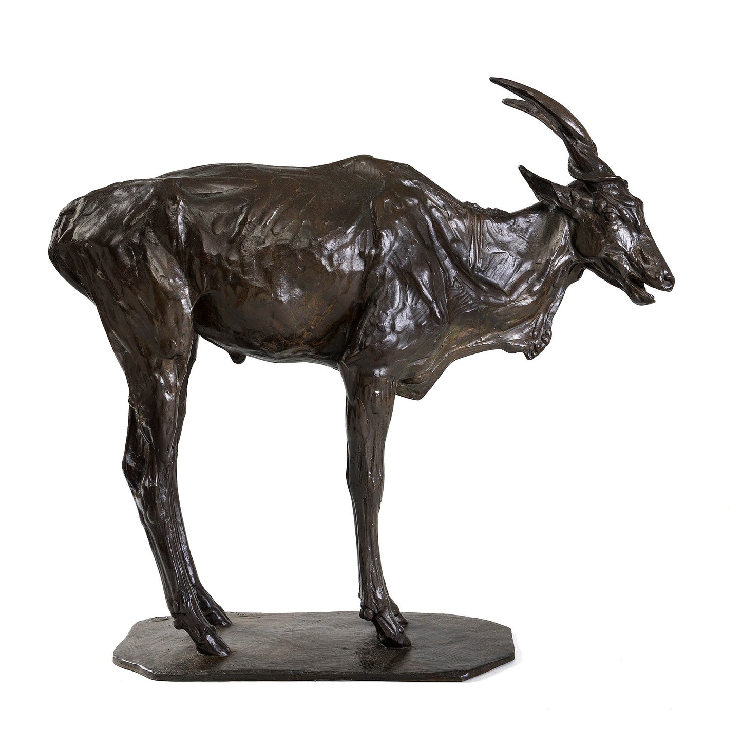 Macklowe Gallery Rembrandt Bugatti