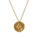 Macklowe Gallery Comte d'Epinay de Briort Art Nouveau Medal-Jewel "Habillé" Pendant Brooch and Chain